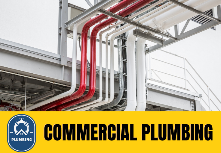commercial plumbing Belvedere