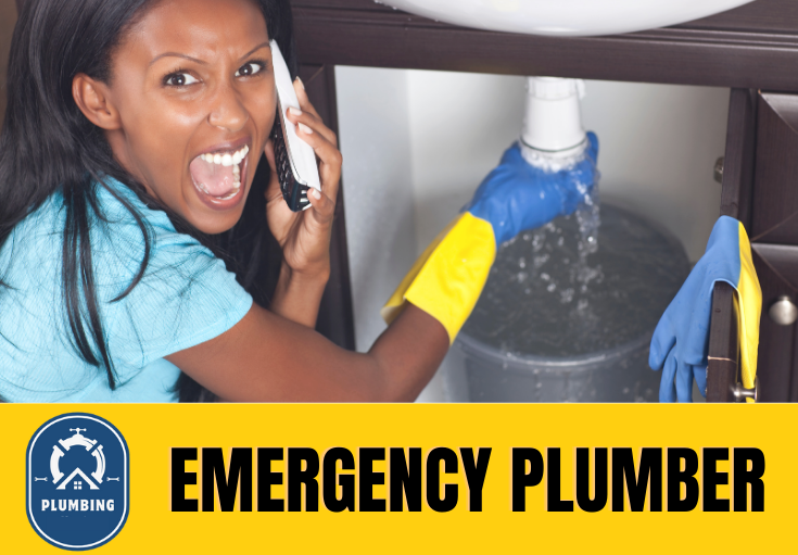 emergency plumber Belvedere